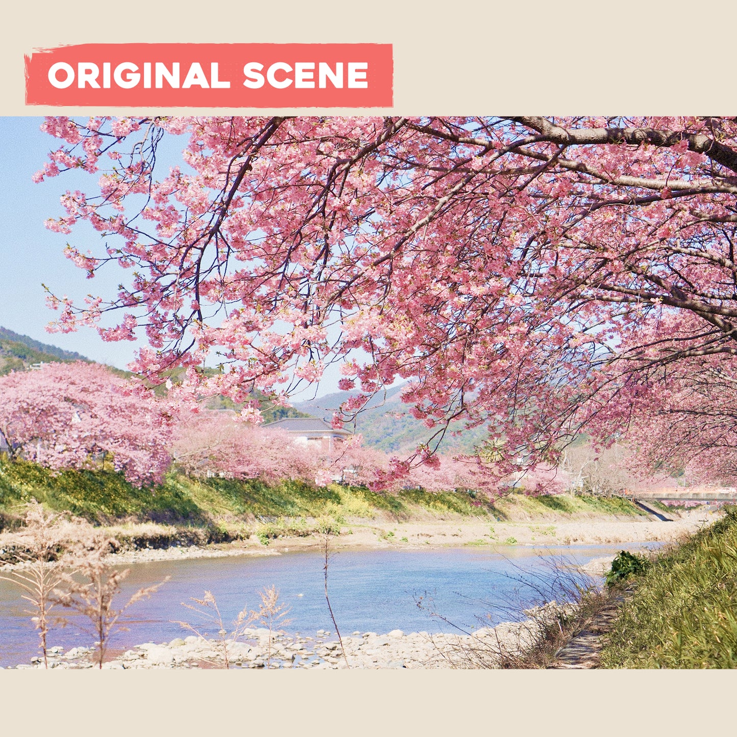 Signed Giclee Print: Sakura in Kawazu
