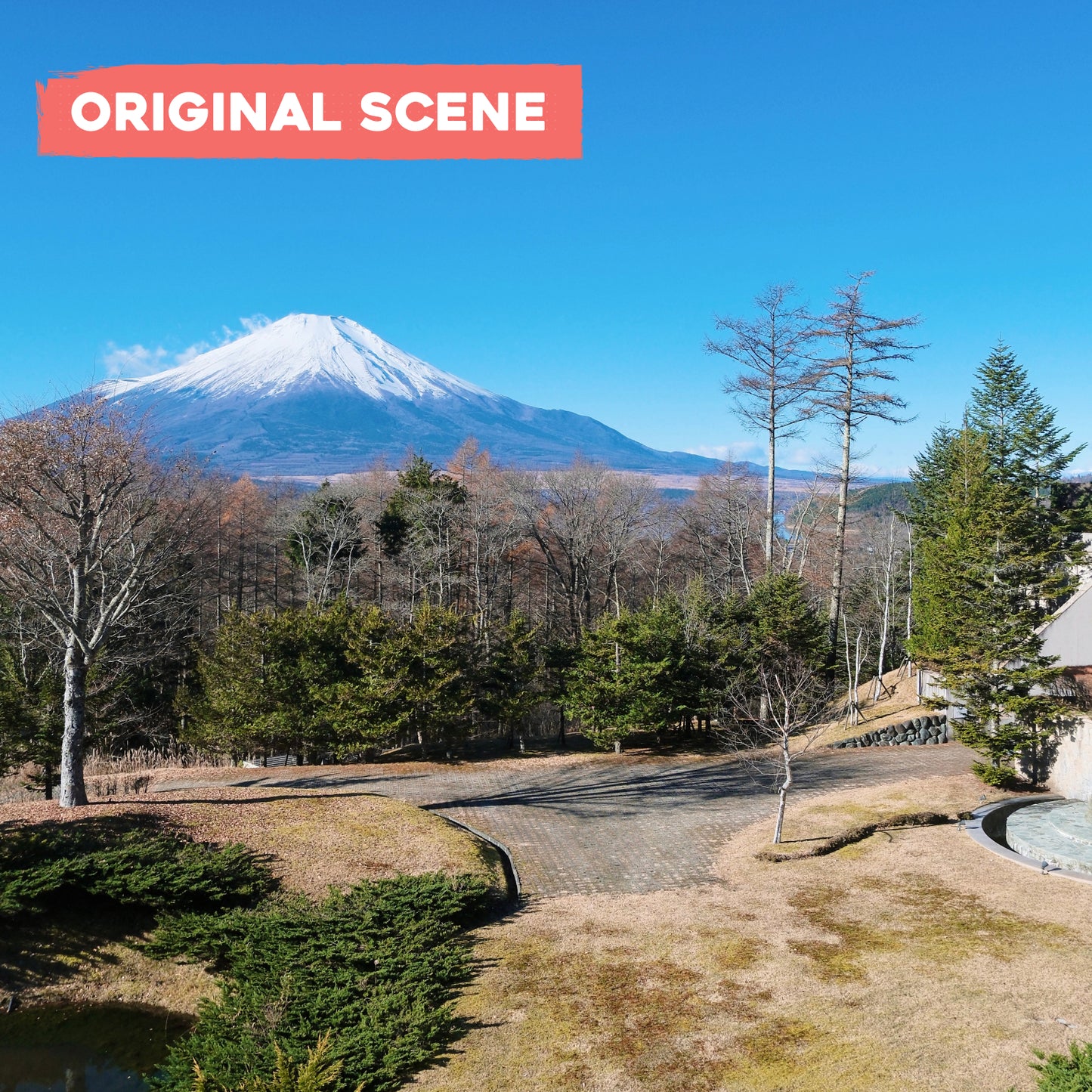 Signed Giclee Print: Mt. Fuji in Autumn