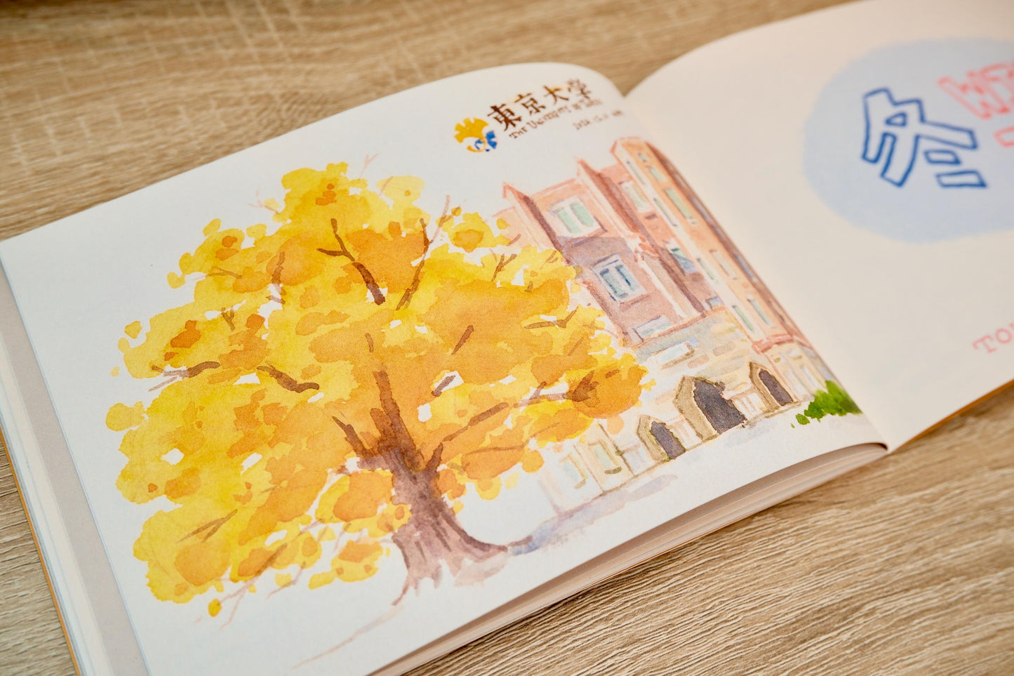 Art Zine: Japan Diary Travel Sketchbook