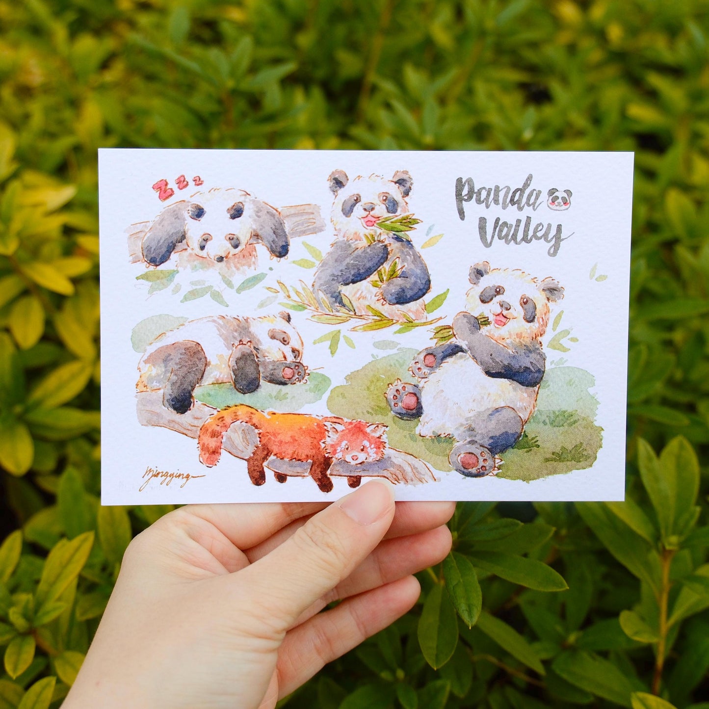 Postcard: Pandas Chillin'