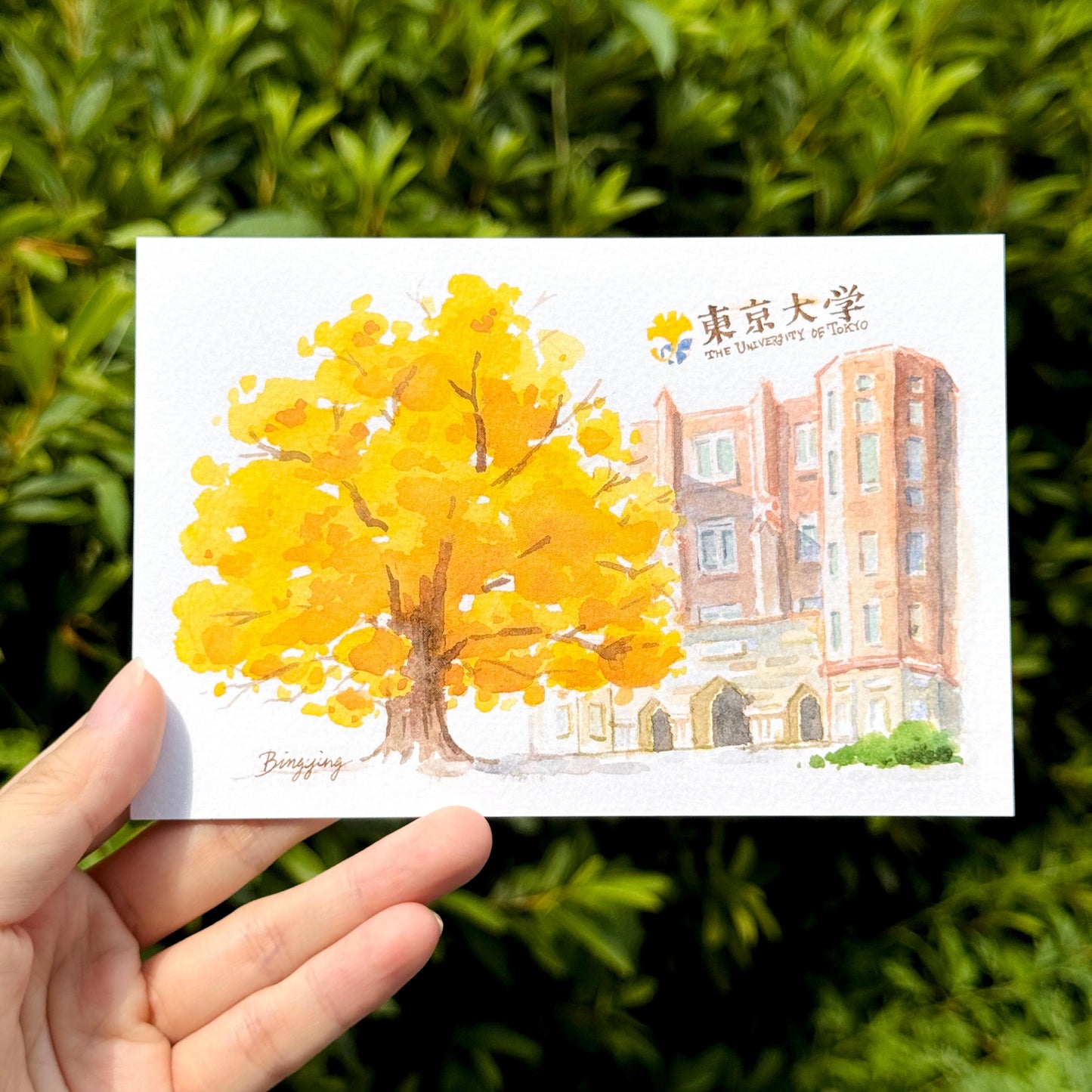 Postcard: Fall in Tokyo - Golden Ginkgo Tree