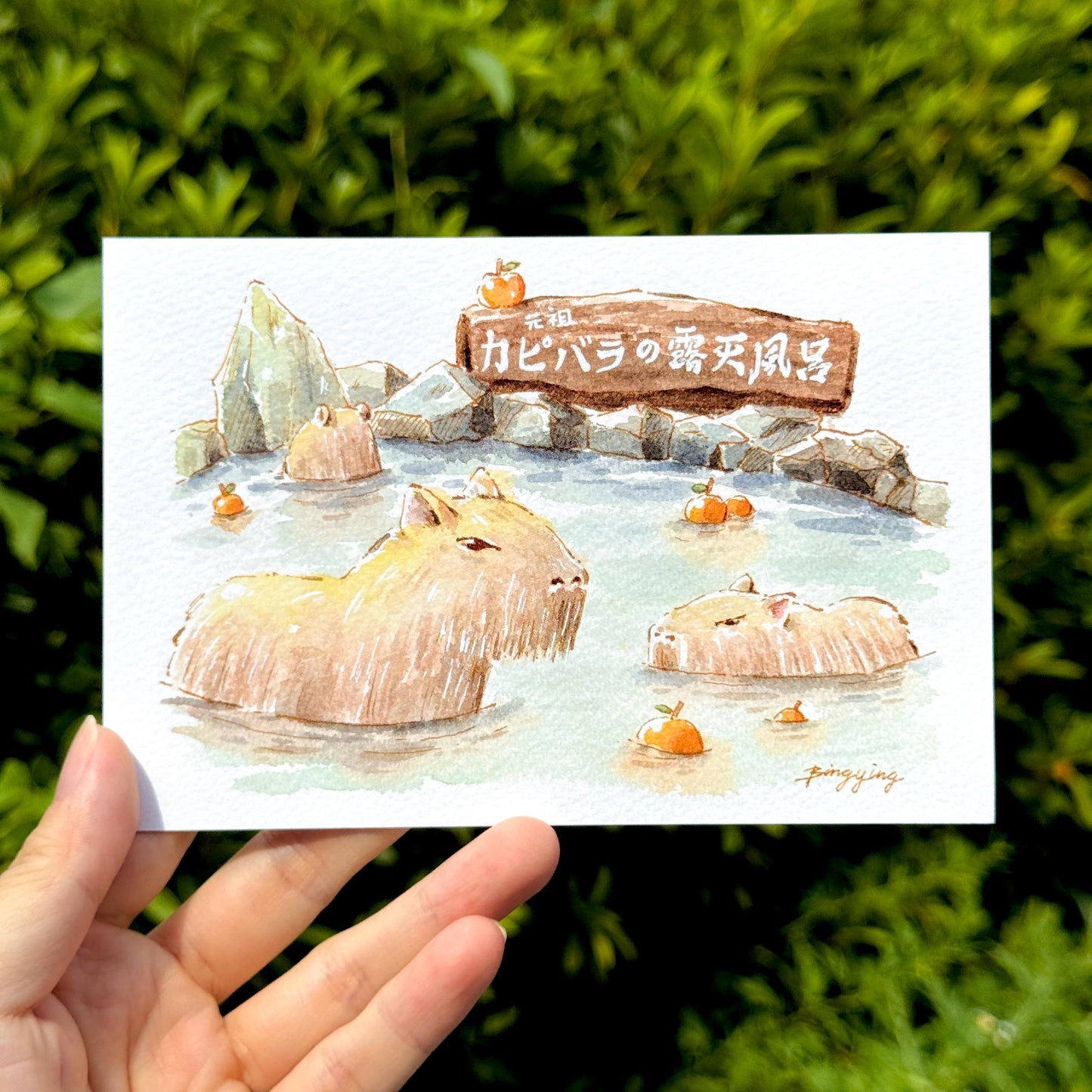 Postcard: Capybara Hot Spring in Izu, Japan