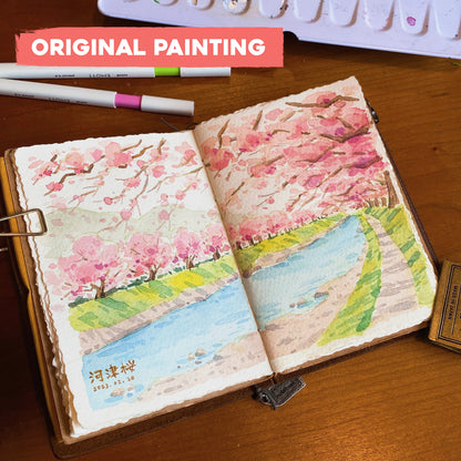Postcard: Sakura in full bloom in Kawazu, Japan