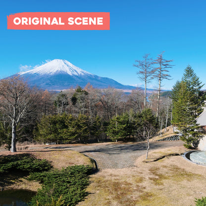 Postcard: Mt. Fuji in Autumn