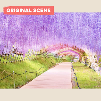 Postcard: Wisteria Garden in Kyushu, Japan