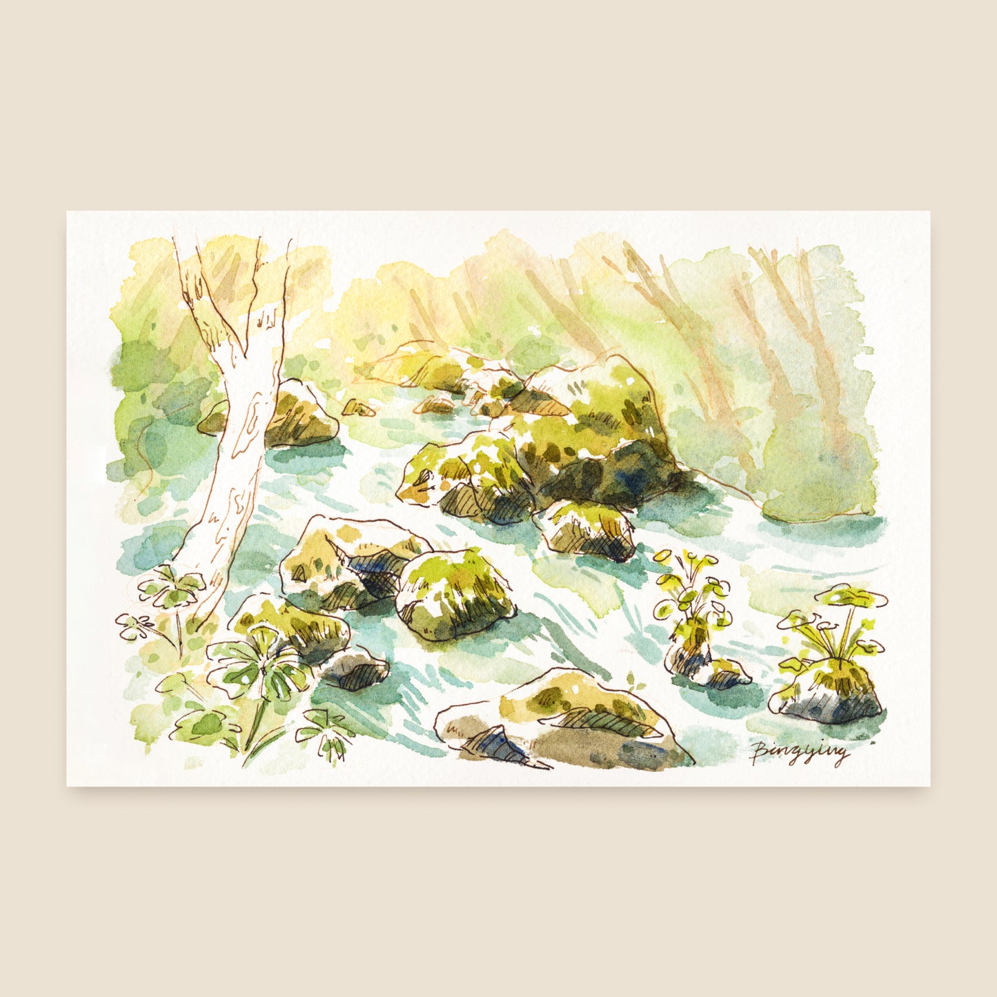 Postcard: Summer Forest Light in Aomori, Japan