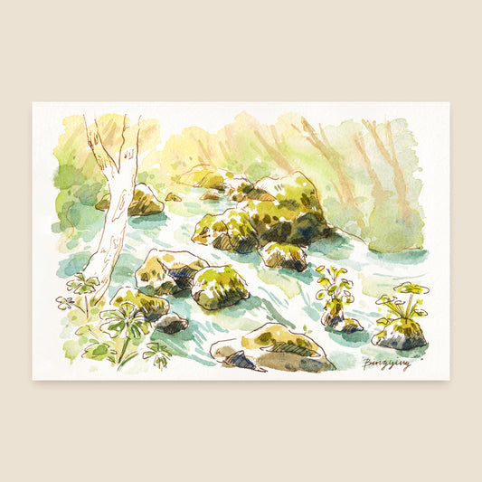 Postcard: Summer Forest Light in Aomori, Japan