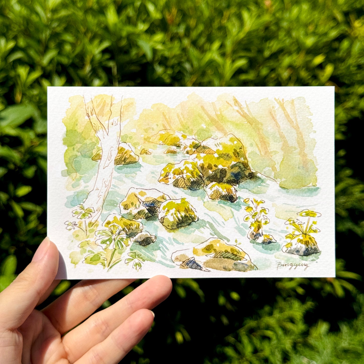 Postcard: Summer Forest Light in Aomori, Japan