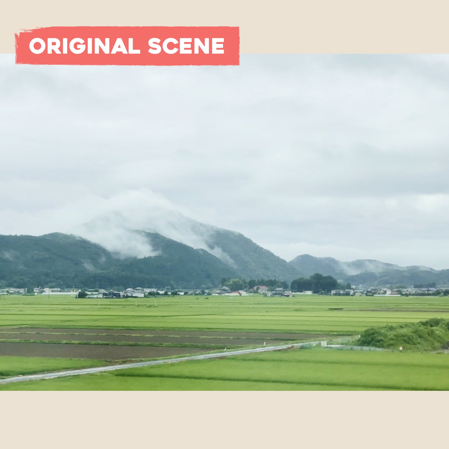 Postcard: View From the Window of the Bullet Train
