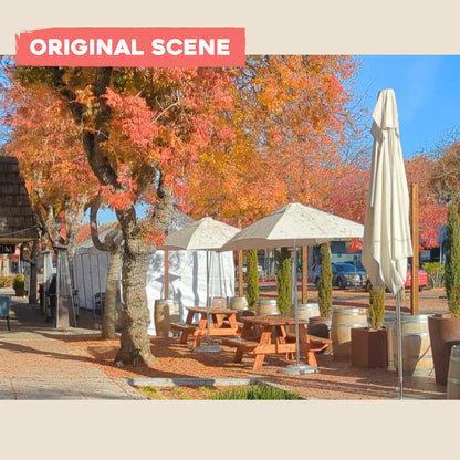 Postcard: Autumn afternoon in Los Altos, California