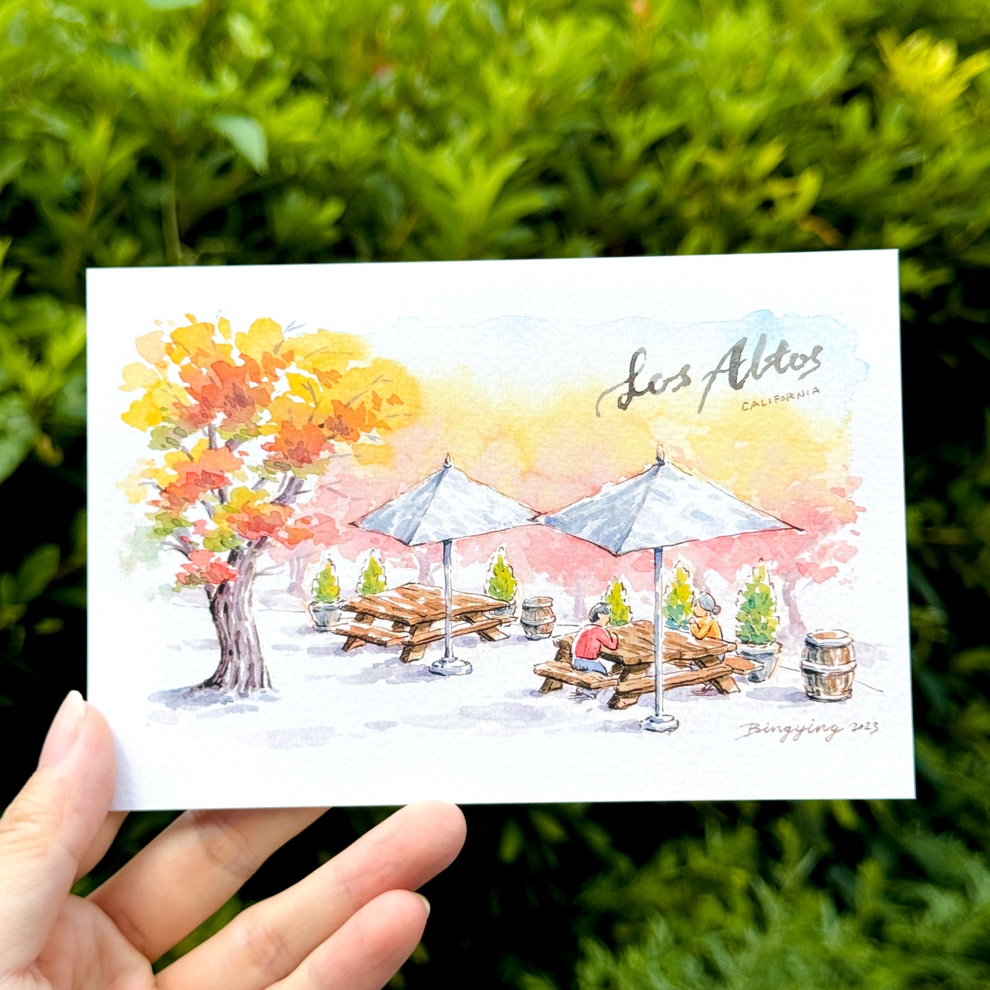 Postcard: Autumn afternoon in Los Altos, California