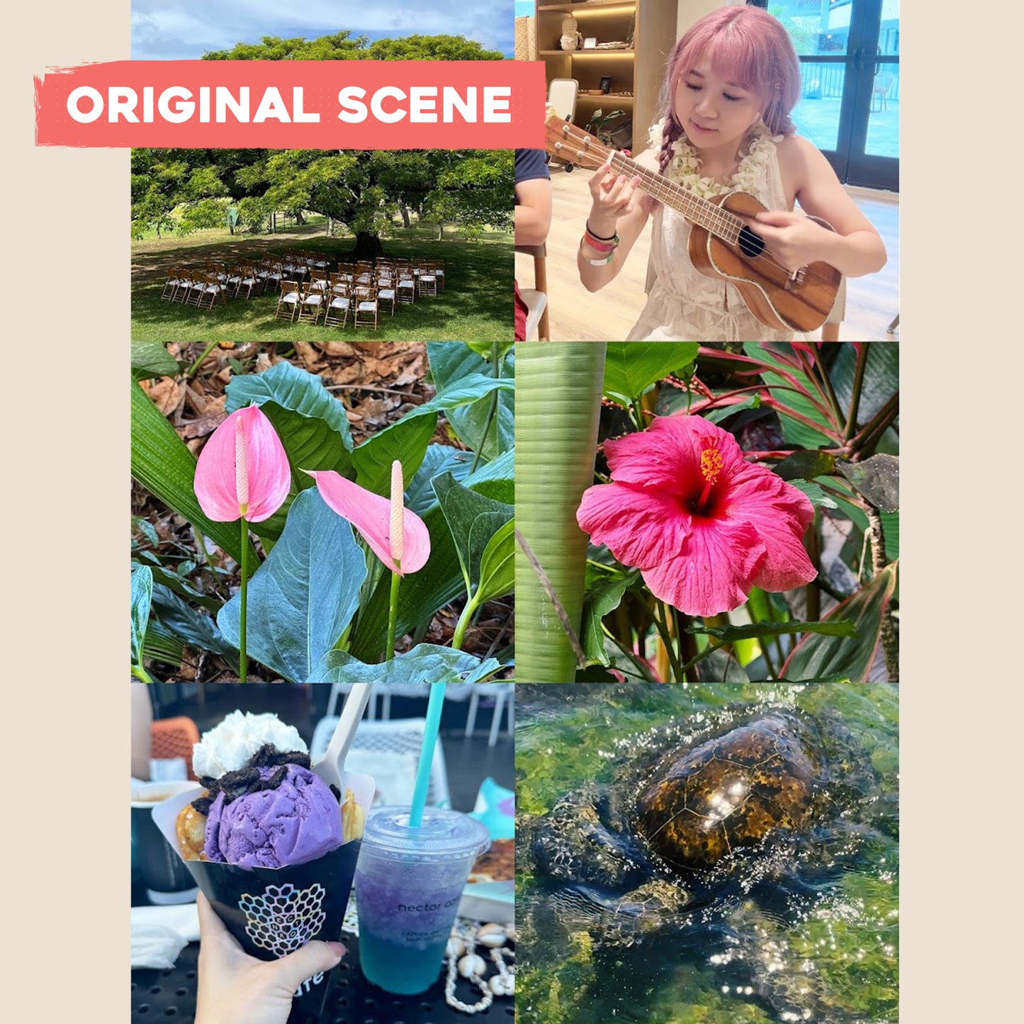 Oversized Postcard: Scenes from Big Island, Hawaii
