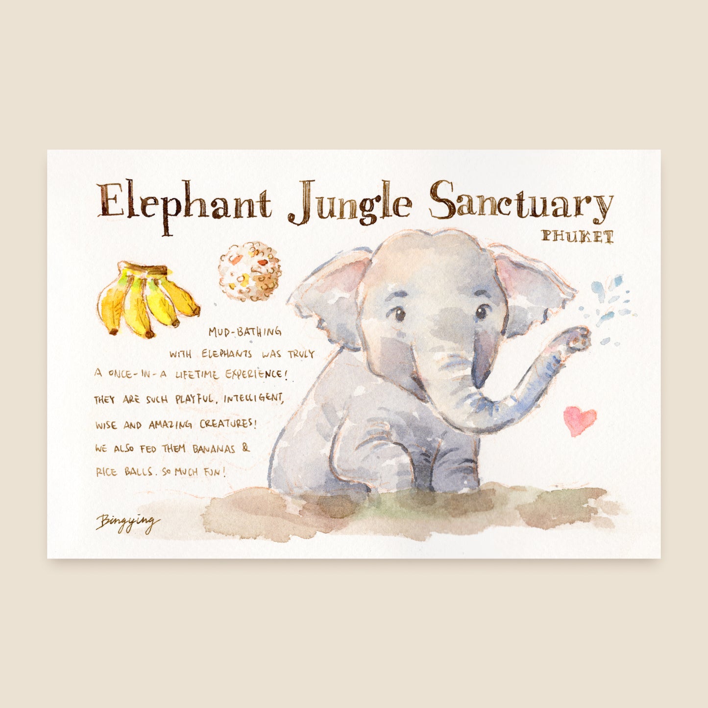 Postcard: Elephant in Phuket, Thailand