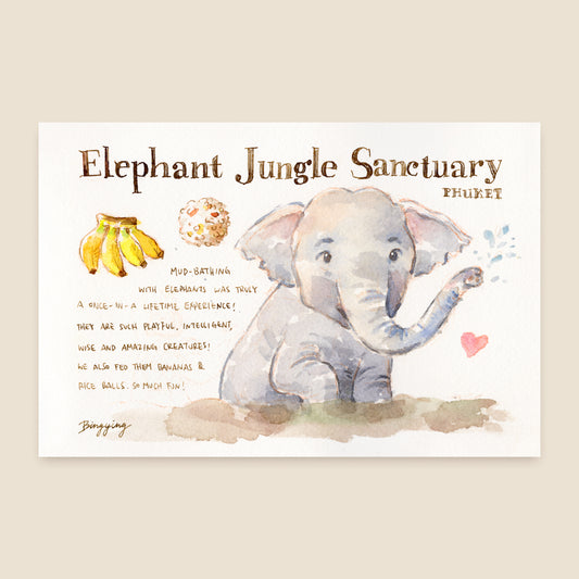 Postcard: Elephant in Phuket, Thailand