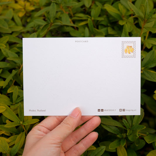 Postcard: Elephant in Phuket, Thailand