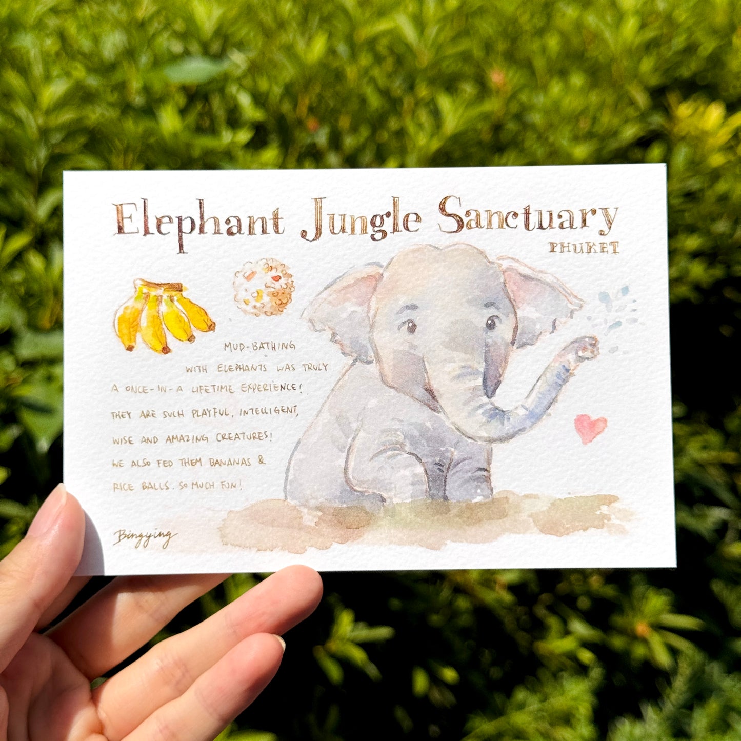 Postcard: Elephant in Phuket, Thailand