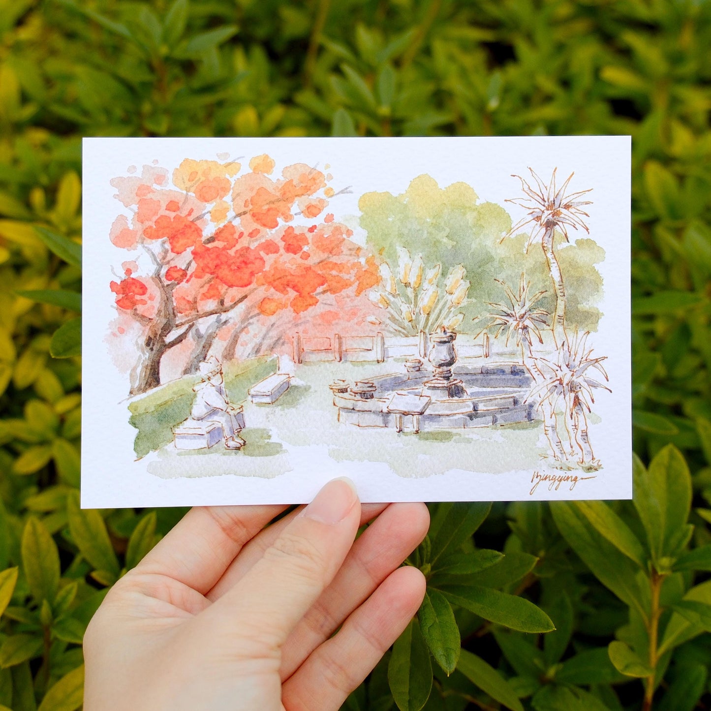 Postcard: Fall in Tokyo - Maple Trees in Koishikawa Botanical Garden