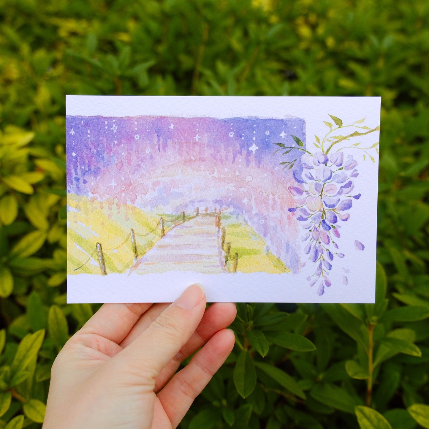 Postcard: Wisteria Garden in Kyushu, Japan