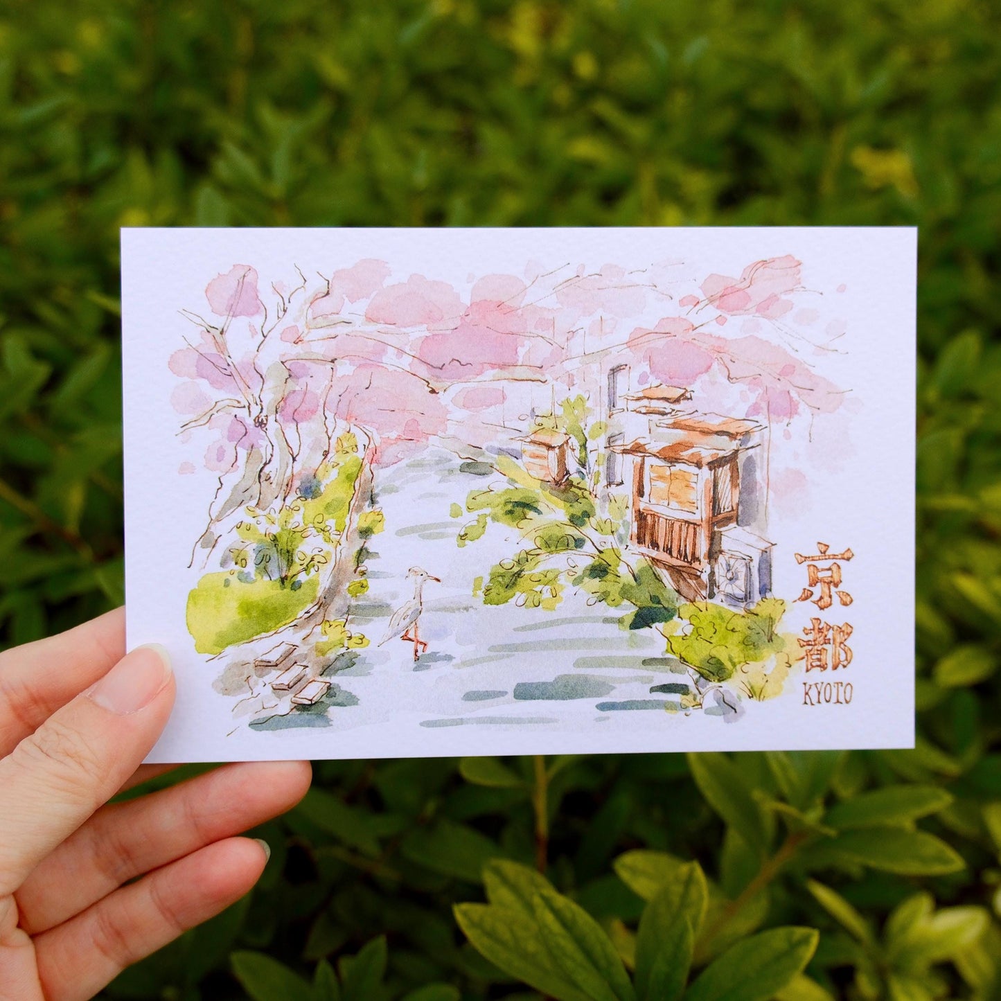 Postcard: Sakura in Kyoto, Japan