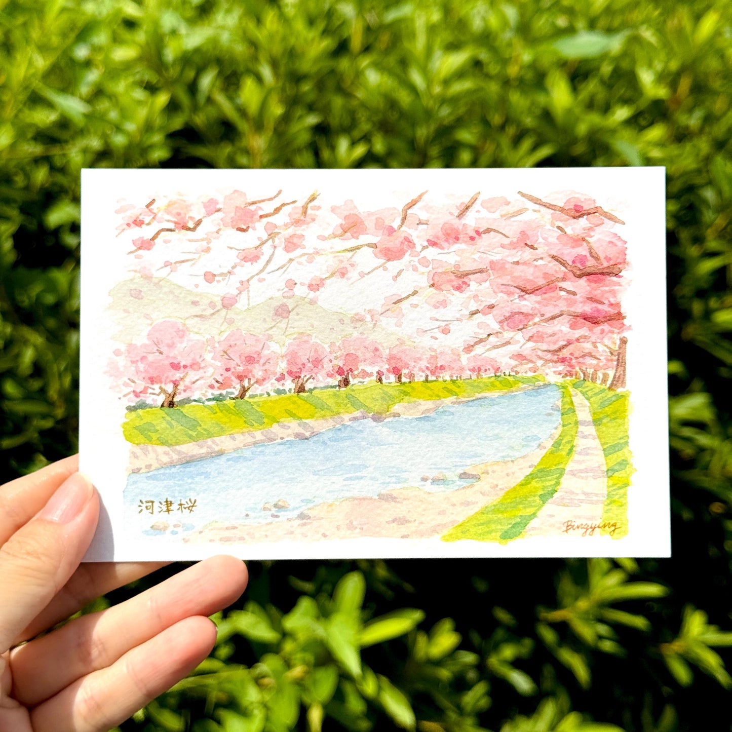 Choose Your Own Set of 5 Travel Watercolor Postcard Prints